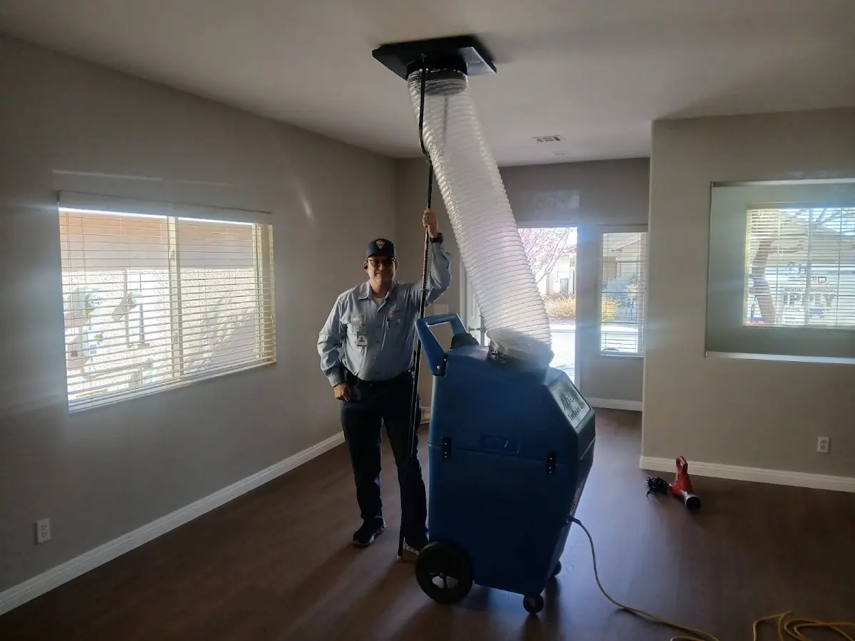 Professional Dryer Vent Cleaning work inside a Ewing home